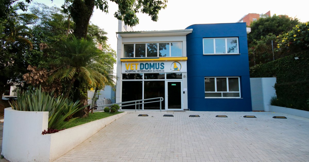 Vet Domus | Centro Veterinário 24H em Pinheiros